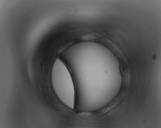 X0000094810762200711161004