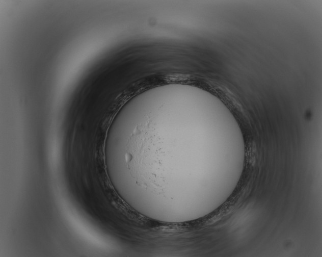X0000094810763200711161004