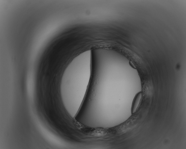 X0000094810764200711161004