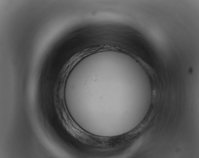 X0000094810765200711161004