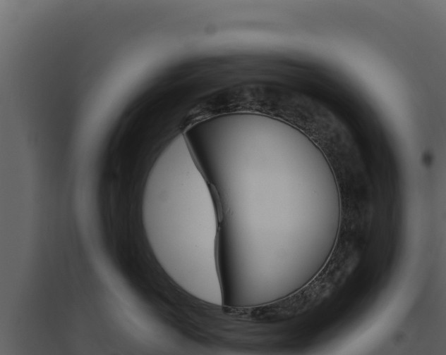 X0000094810766200711161004