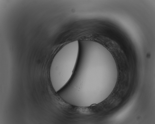 X0000094810767200711161004