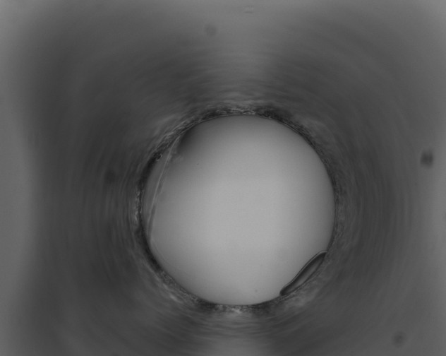 X0000094810768200711161004