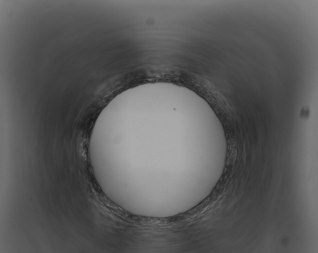X0000094810770200711161003