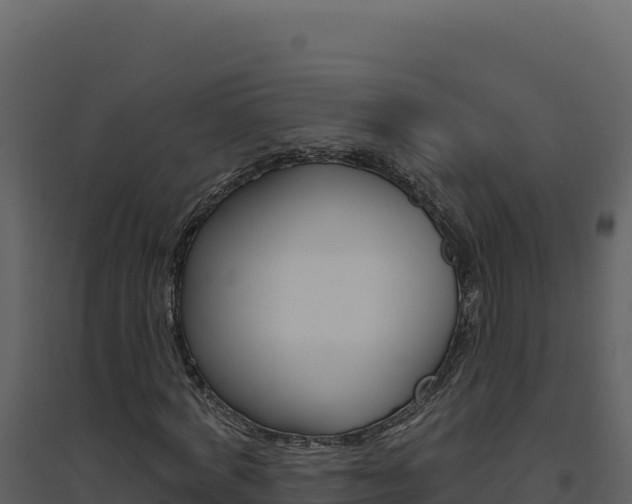 X0000094810772200711161003