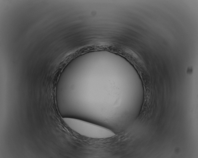X0000094810773200711161003