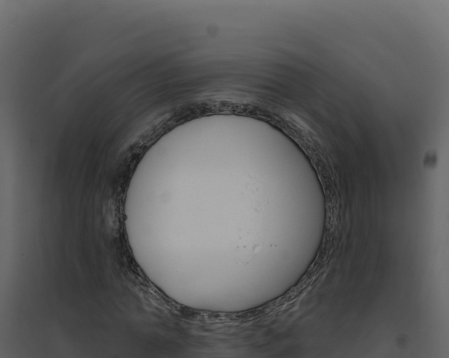 X0000094810774200711161003