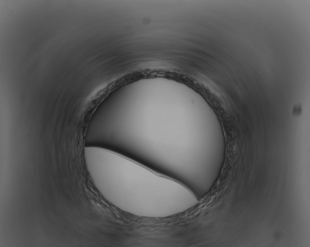 X0000094810775200711161003
