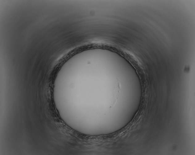 X0000094810776200711161003