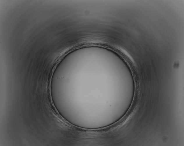 X0000094810777200711161003