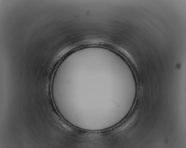 X0000094810778200711161003
