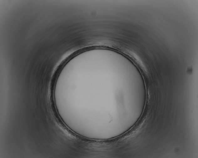 X0000094810780200711161003