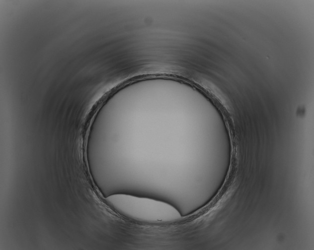 X0000094810781200711161003