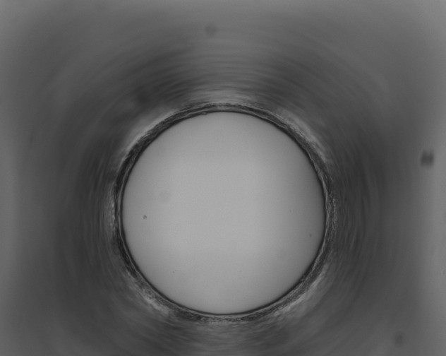 X0000094810782200711161003