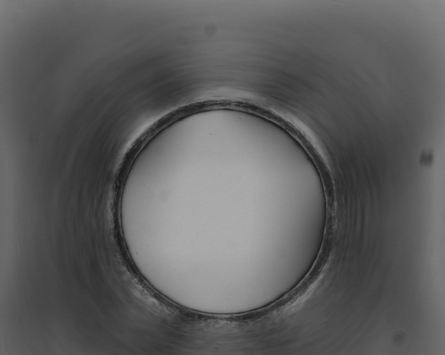 X0000094810783200711161003