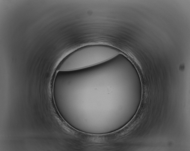 X0000094810789200711161003
