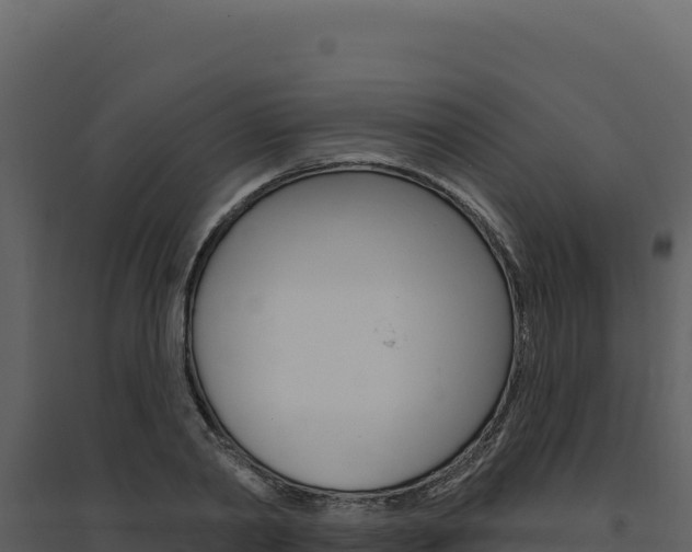 X0000094810790200711161003