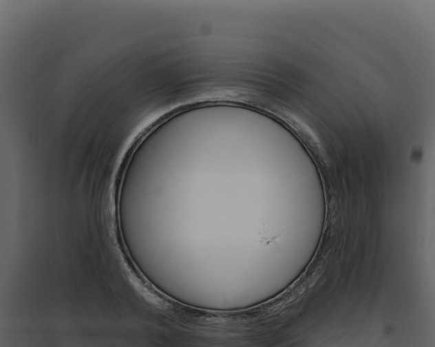 X0000094810792200711161003