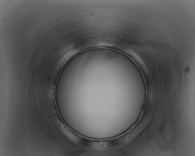 X0000094810793200711161003