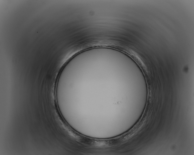 X0000094810794200711161003