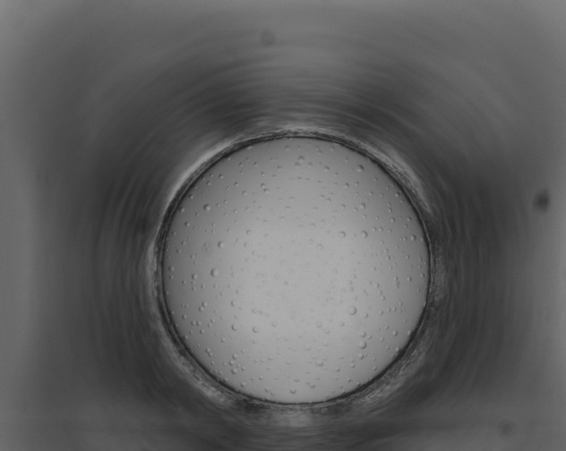 X0000094810798200711161003