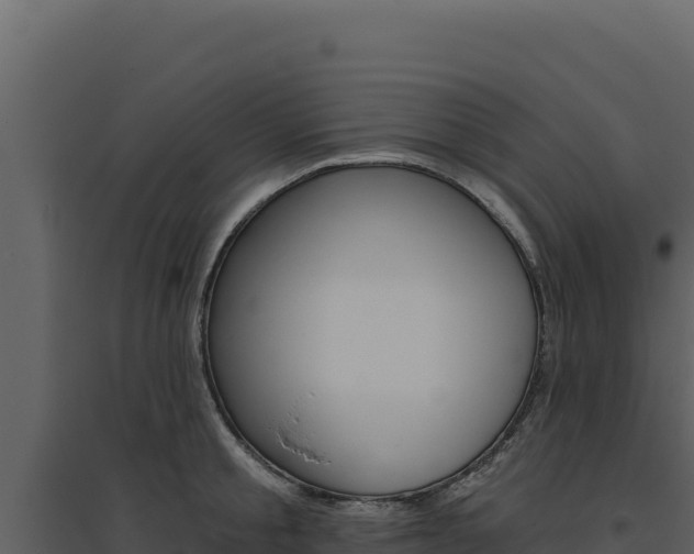 X0000094810805200711161003
