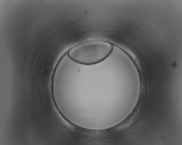 X0000094810807200711161003