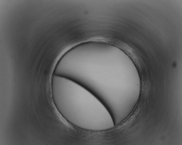 X0000094810808200711161003