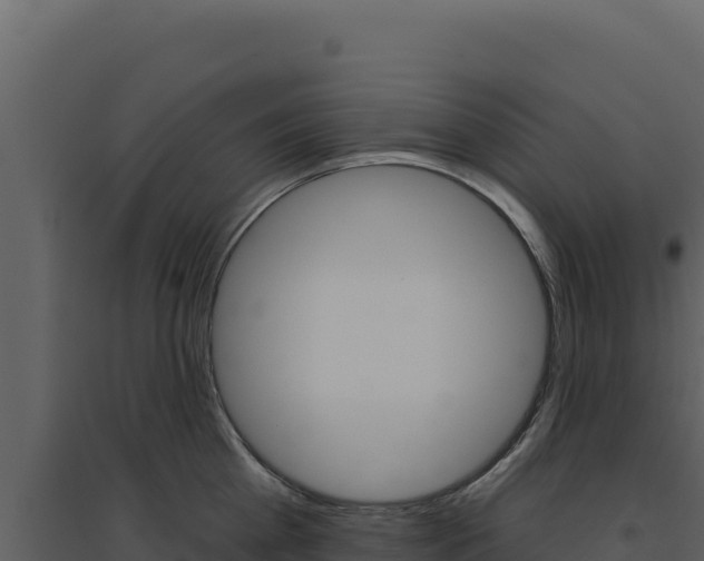 X0000094810809200711161002