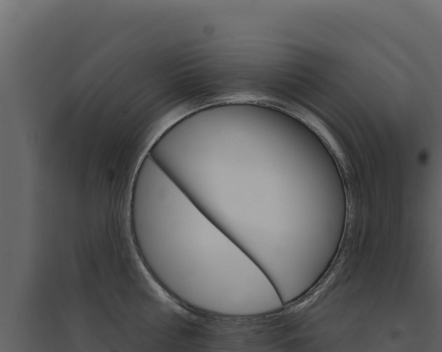 X0000094810810200711161002