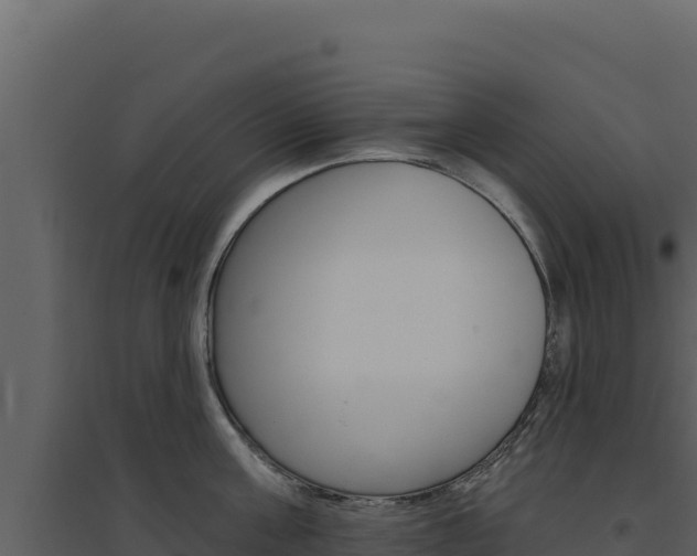 X0000094810811200711161002
