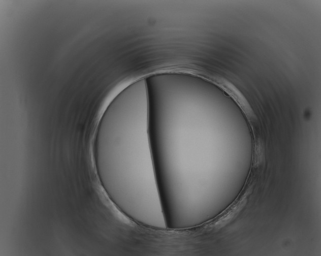 X0000094810812200711161002