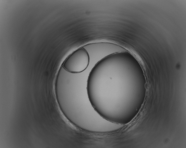 X0000094810813200711161002