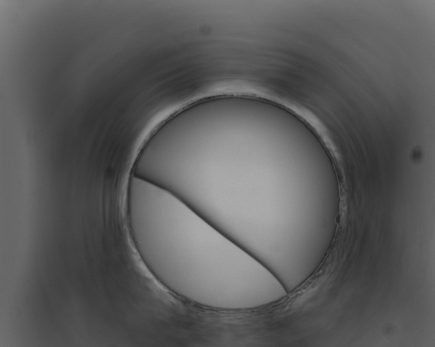 X0000094810815200711161002