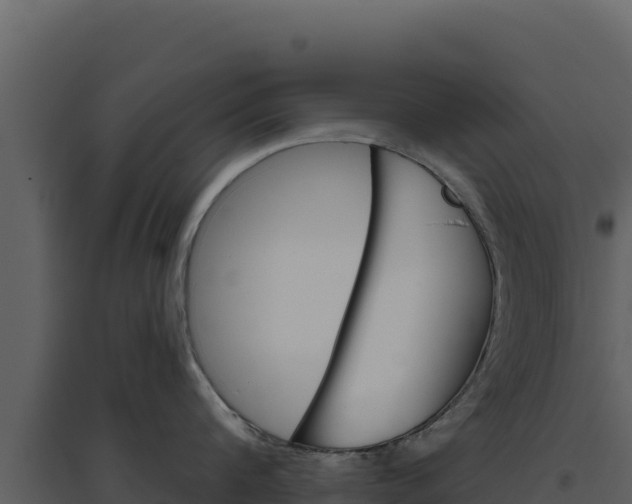 X0000094810816200711161002