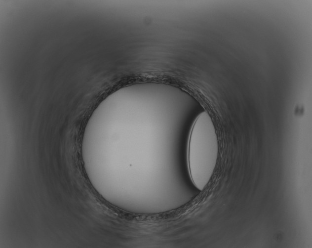 X0000094810817200711161002
