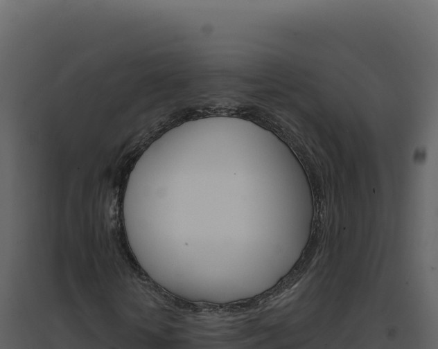 X0000094810818200711161002