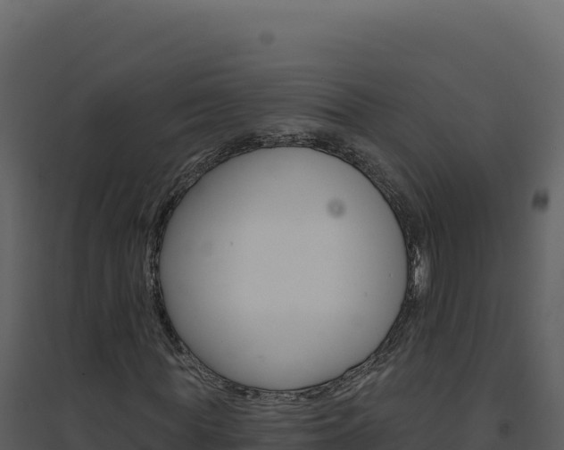 X0000094810819200711161002