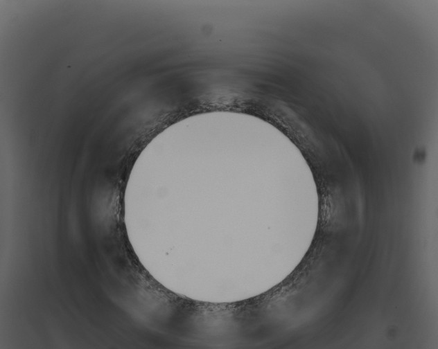 X0000094810820200711161002