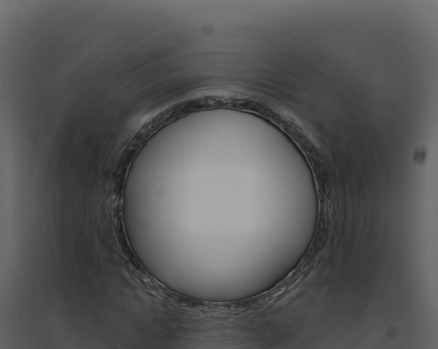 X0000094810822200711161002