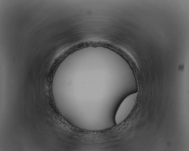 X0000094810823200711161002
