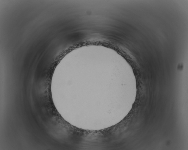 X0000094810824200711161002