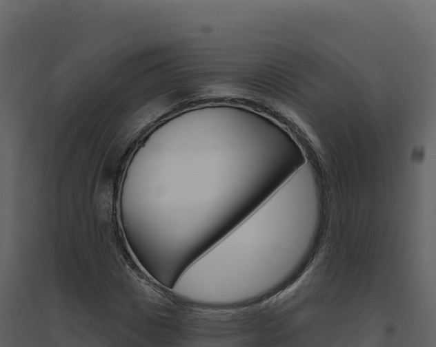 X0000094810825200711161002
