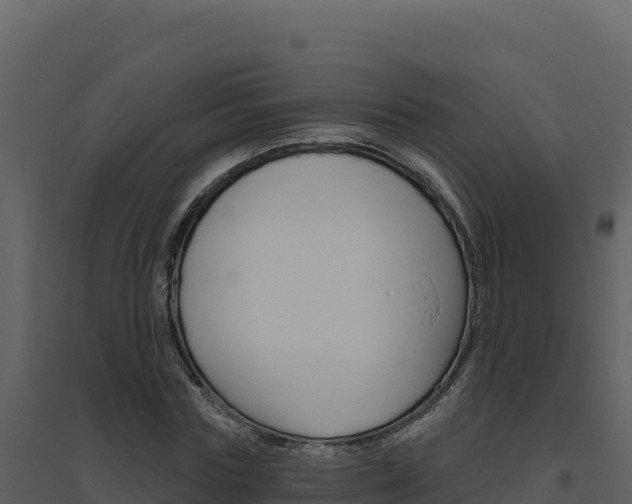 X0000094810827200711161002