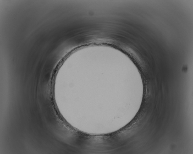 X0000094810828200711161002