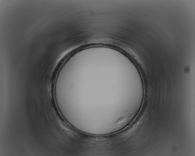 X0000094810830200711161002