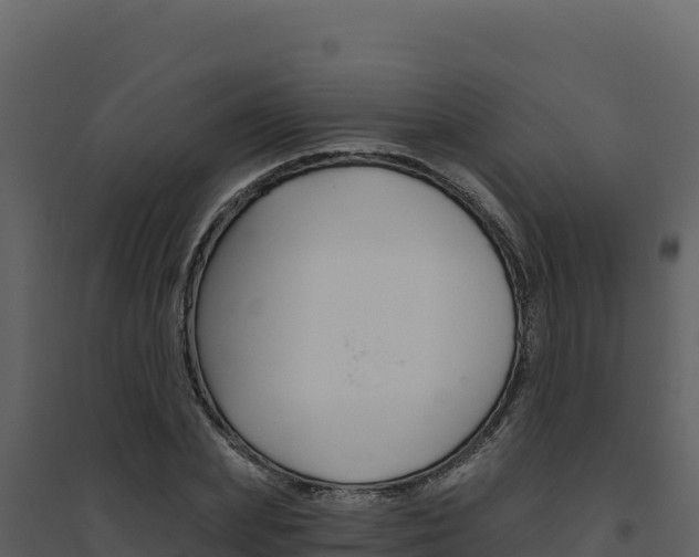 X0000094810831200711161002