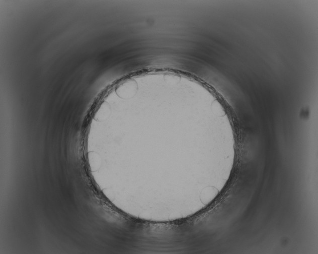X0000094810832200711161002