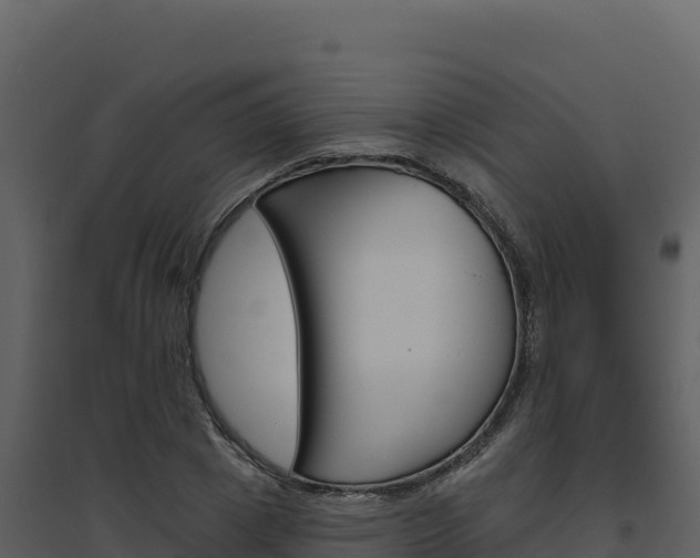 X0000094810833200711161002