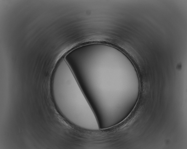 X0000094810834200711161002
